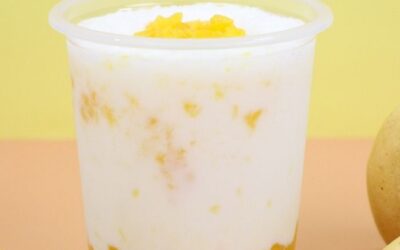 Mango Yogurt Smoothie Drink